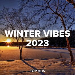 Album cover of Winter Vibes 2023