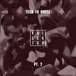 Album cover of Tech to House, Pt. 2