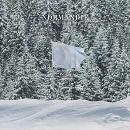 Album cover of White Flag (Reimagined)