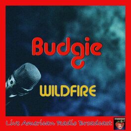 Album cover of Wildfire (Live)