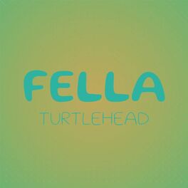 Album cover of Fella Turtlehead