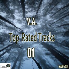 Album cover of Top Rated Tracks 01