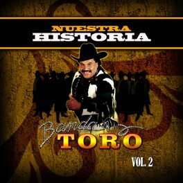 Album cover of Nuestra Historia, Vol. 2