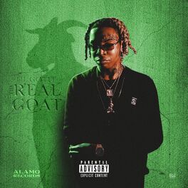 Album cover of The Real Goat
