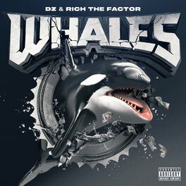 Album cover of Whales