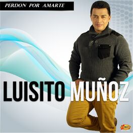 Album cover of Perdón por Amarte
