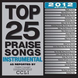 Album cover of Top 25 Praise Songs Instrumental (2012 Edition)