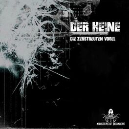Album cover of Die Zerstreuten Vögel
