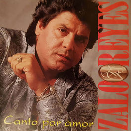 Album cover of Canto Por Amor