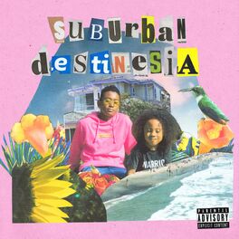 Album cover of Suburban Destinesia