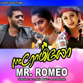 Album cover of Mr. Romeo