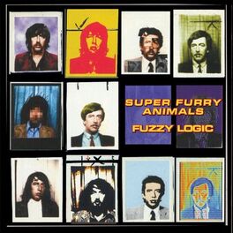 Album cover of Fuzzy Logic