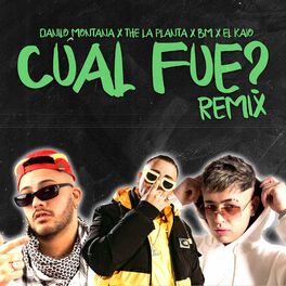 Album cover of Cual Fue? (Remix)