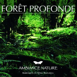 Album cover of Ambiance Nature Foret Profonde