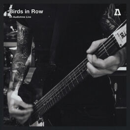 Album cover of Birds in Row on Audiotree Live