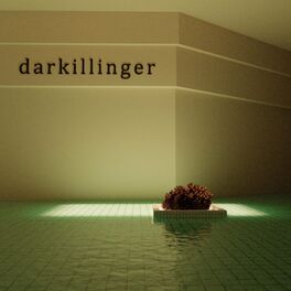 Album cover of darkillinger