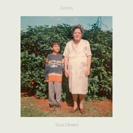 Album cover of Zamira