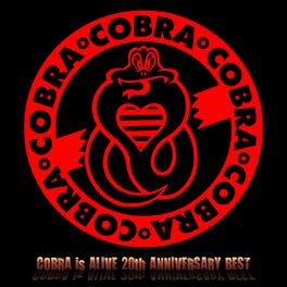 Album cover of COBRA Is Alive 20th Anniversary Best