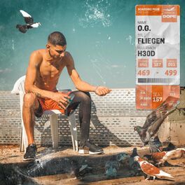 Album cover of Fliegen