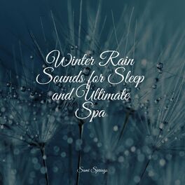Album cover of Winter Rain Sounds for Sleep and Ultimate Spa