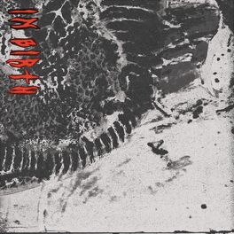 Album cover of In Birth