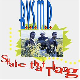 Album cover of Shake That Thang