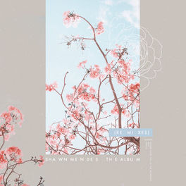 Album cover of The Album (Remixes)