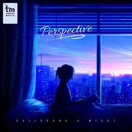 Album cover of Perspective