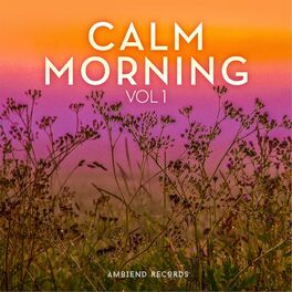 Album cover of Calm Morning (Vol 1)