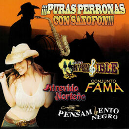 Various Artists Puras Perronas Con Saxofon Music Streaming