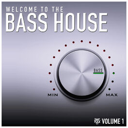 Album cover of Welcome to the Bass House