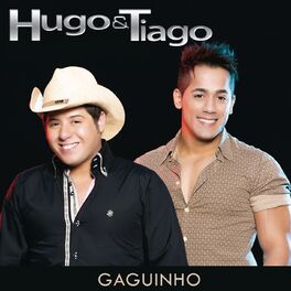 Album cover of Gaguinho