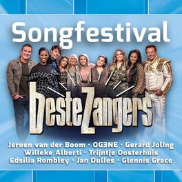 Album cover of Beste Zangers Songfestival