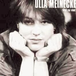 Album cover of Viel zu Viel