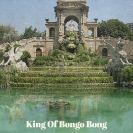 Album cover of King of Bongo Bong