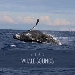 Album cover of Satisfying Whale Song