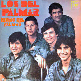 Album cover of Ritmo del Palmar
