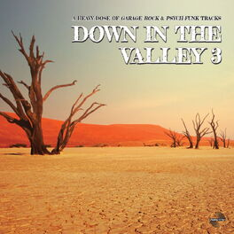 Album cover of Down in the Valley 3