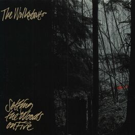 Album cover of Setting the Woods on Fire