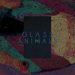 Glass Animals: albums, songs, playlists | Listen on Deezer