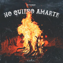 Album cover of No Quiero Amarte