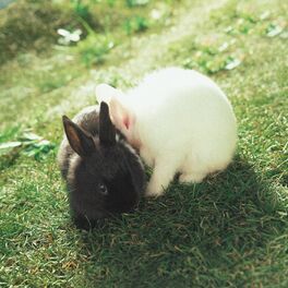 Album cover of She′s a Baby