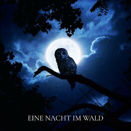 Album cover of Eine Nacht im Wald: Naturgeräusche zum einschlafen, Tiergeräusche Nachts, Schlaflosigkeit heilen