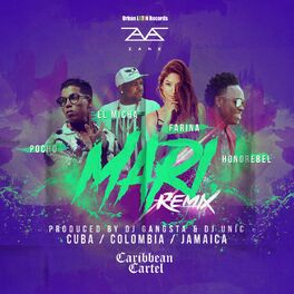 Album cover of Mari (Remix DJ Gangsta & DJ Unic)