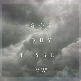 Album cover of Gör Duy Hisset