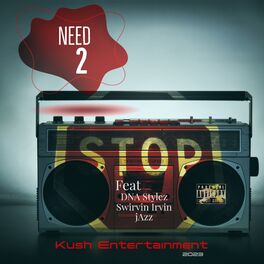 Album cover of Need 2 Stop (feat. DNA Stylez, Swirvin Irvin & jAzz)