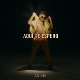 Album cover of Aquí te espero