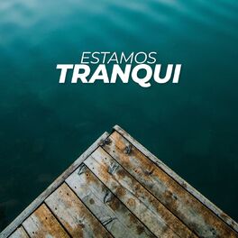 Album cover of Estamos tranqui