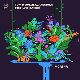 Album cover of Morena