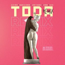 Album cover of Toda Remix (Remix)